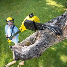 Lawn Watering Services in Burnt Mills, MD